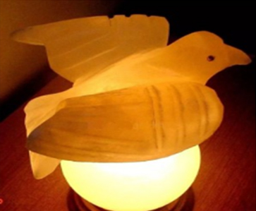 Customized Salt Lamp​