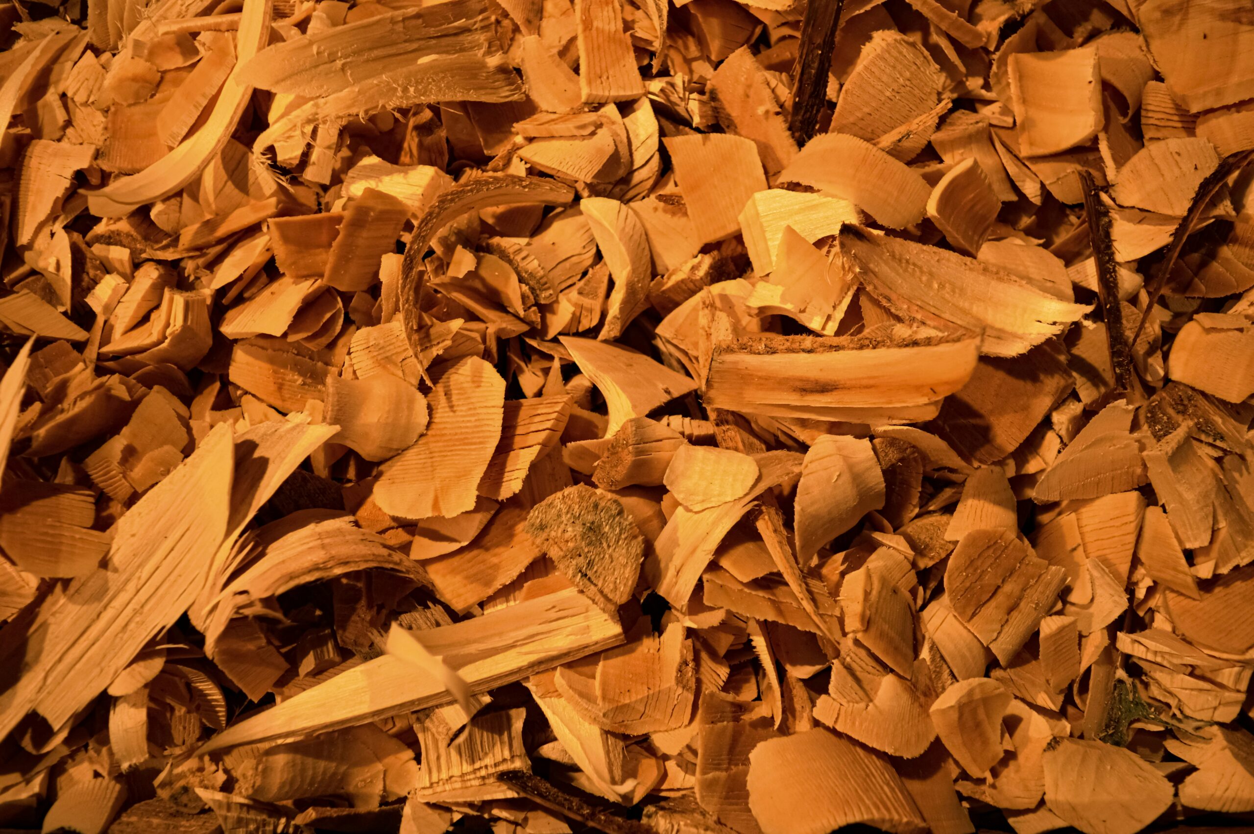 Wooden Chip